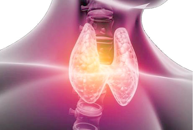 tiroidismo thermogen tea maracuya y la tiroides