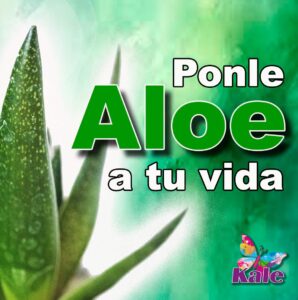 aloe-vera-para-tu-cuidado Aloe Vera usos